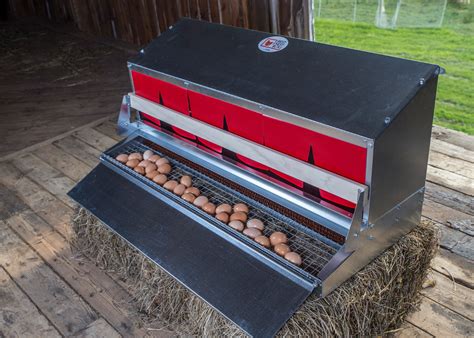 metal laying boxes for chickens|external nesting boxes for chickens.